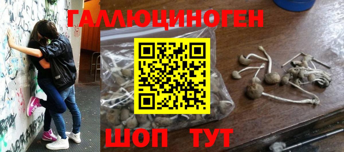 Псилоцибиновые грибы мухоморы  Вход с VPN  хочу   Белово  Галлюциногенные грибы Psilocybine cubensis 