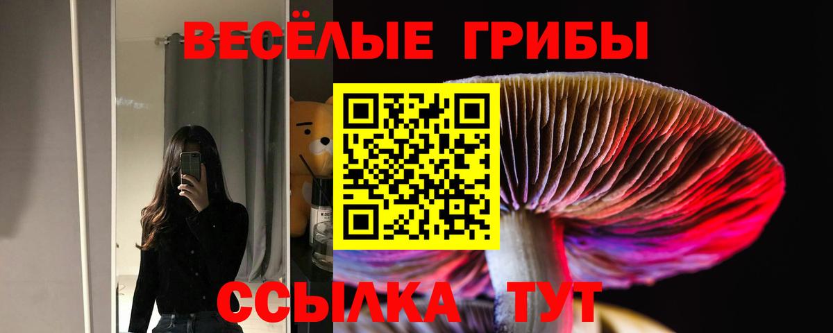 Галлюциногенные грибы MAGIC MUSHROOMS Белово
